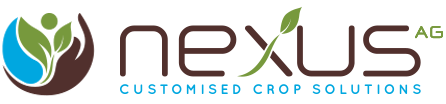 Nexus AG (Pty) Ltd